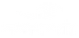 mysportzfit